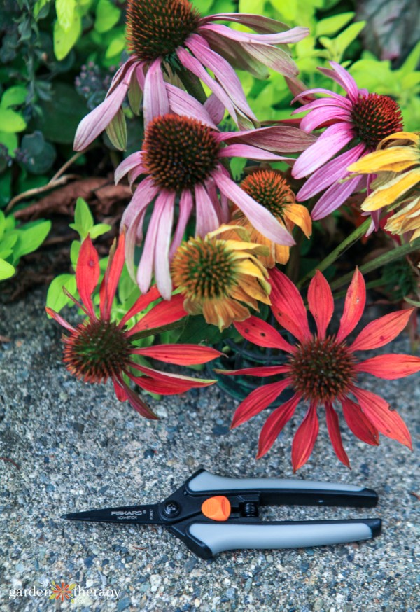 Fiskars SoftGrip® Micro-Tip® Pruning Snips in front of coneflowers in red, yellow, and purple