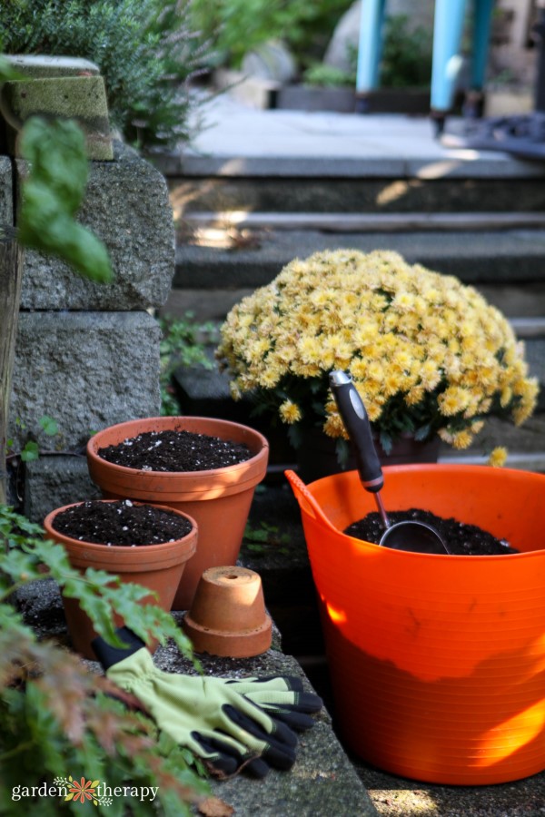 Garden gloves, terracotta pots and a plastic bucket filled with soil placed in front of a yellow mum