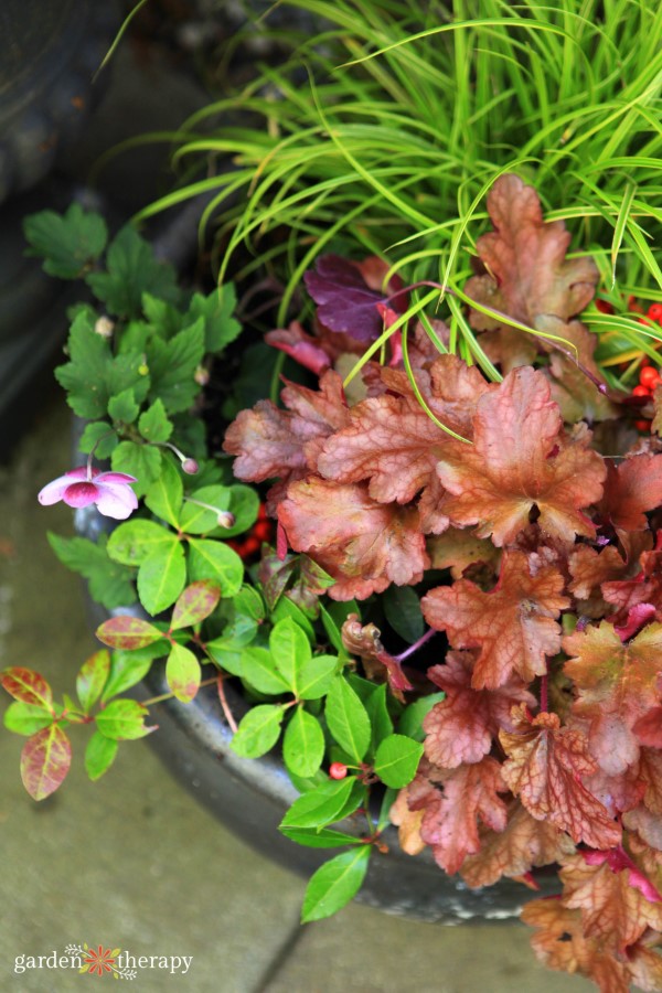 foliage container with fall plants