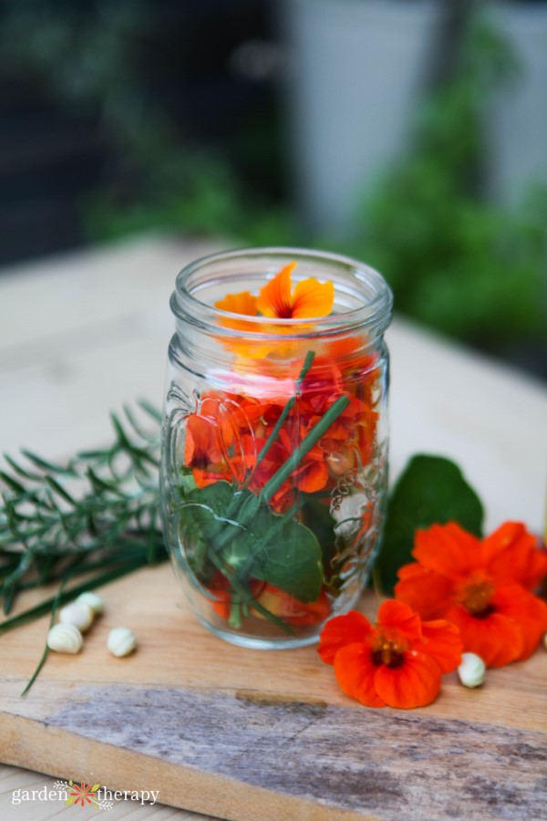 making nasturtium vinegar