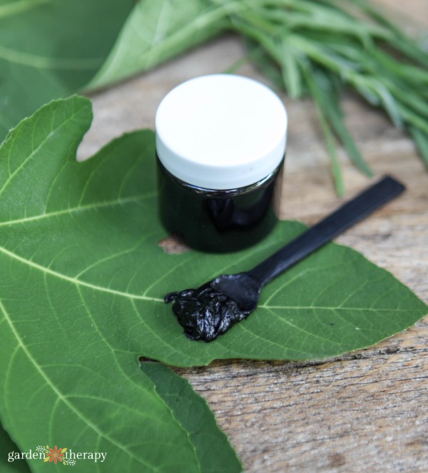 charcoal salve and applicator spoon