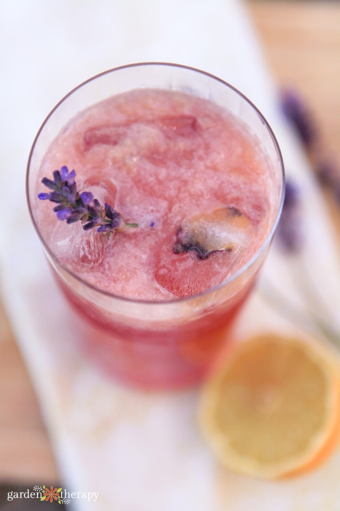 lavender syrup soda