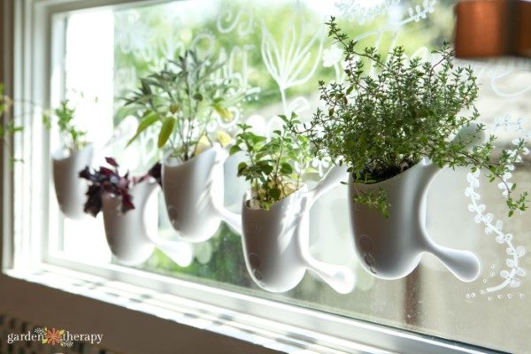Window Herb Garden Kit - Garden Therapy