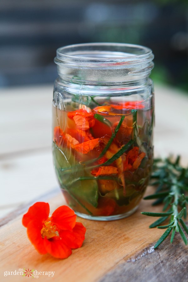 making infused vinegar with rosemary and nasturtium