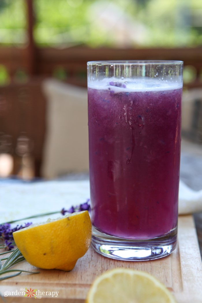 blueberry and lavender soda made with lavender syrup
