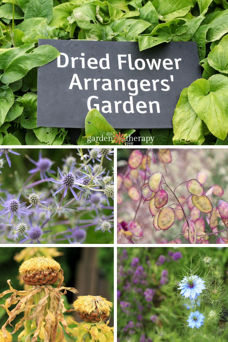 Make Your Own Dazzling Dried Flower Arrangements - Garden Therapy