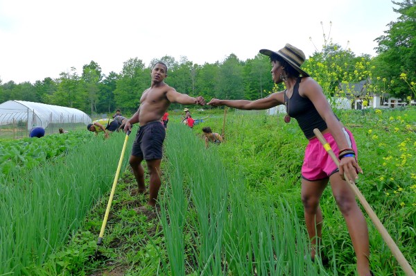 gardeners at Soul Fire Farm