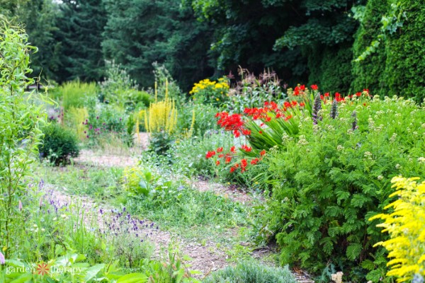 The Van Dusen Dried Flower Arrangers' Garden in bloom