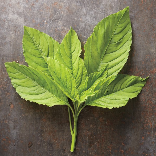 green amaranth leaves