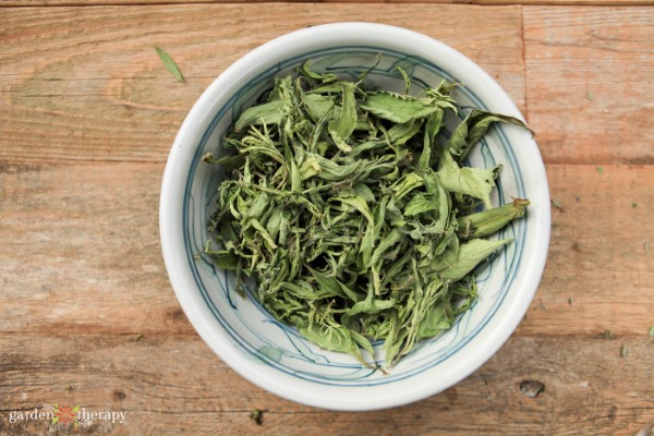 A bowl of dried green stevia leaves