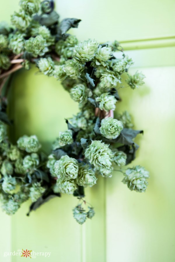 homemade hops wreath