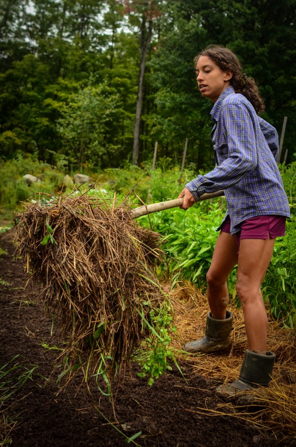 gardening at soul fire