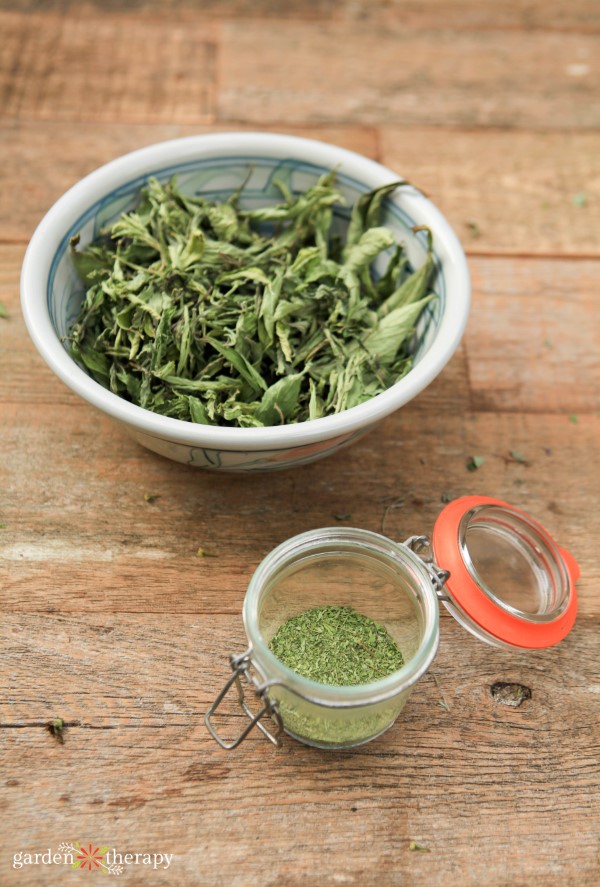 Dried stevia leaves in a bowl and stevia powder in a small container