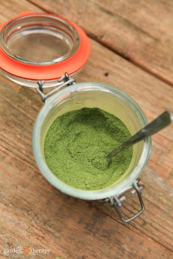 Homemade stevia powder to use as a natural sweetener