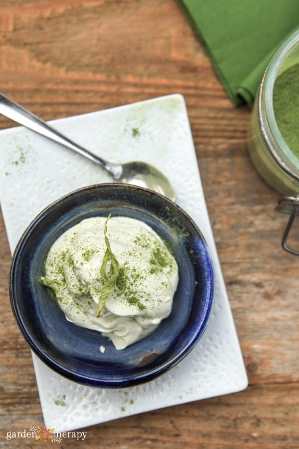 mousse with stevia powder sprinkled on top and a stevia leaf as garnish