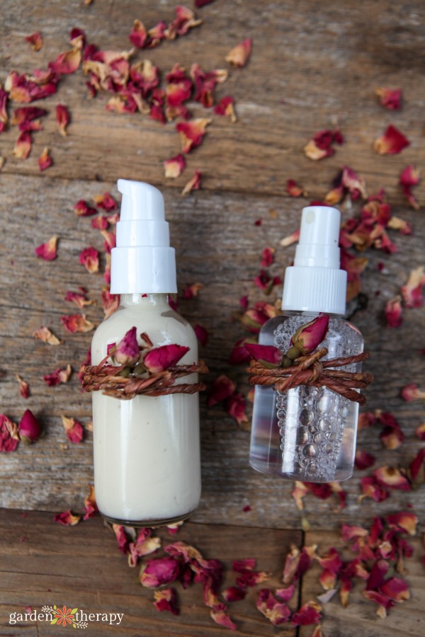 Rose Skincare Recipes for Brighter, Healthier Skin - Garden Therapy