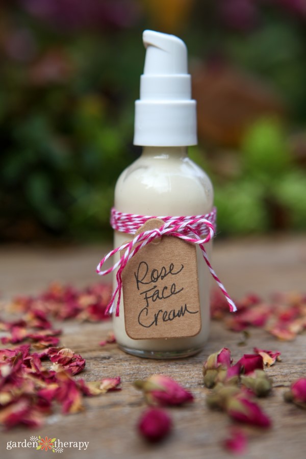 Homemade Rose Face lotion