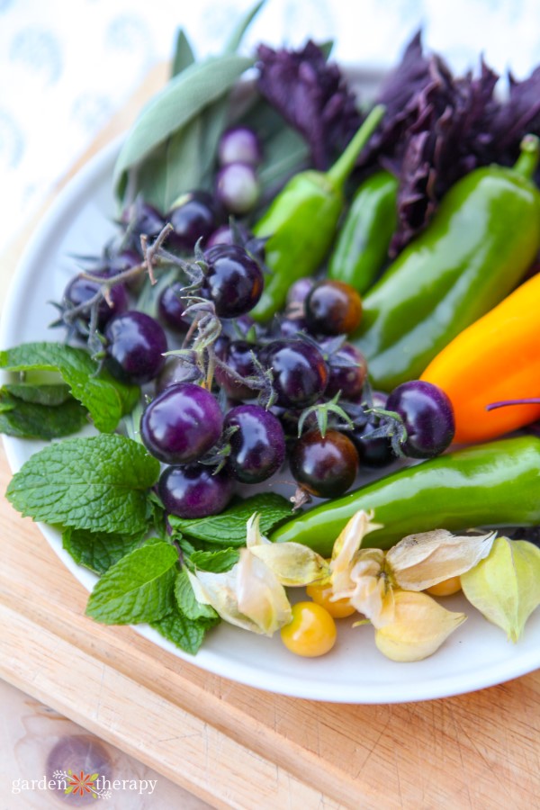 Vegetables that have bloom