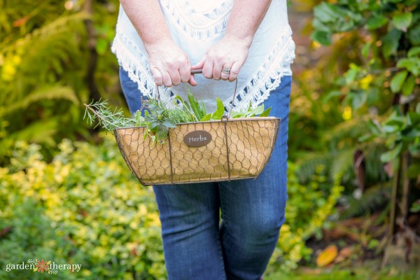 Stephanie Rose Garden Therapy Herb Basket