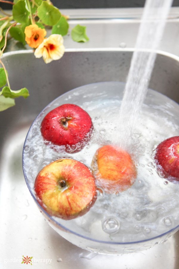 washing apples in the sink