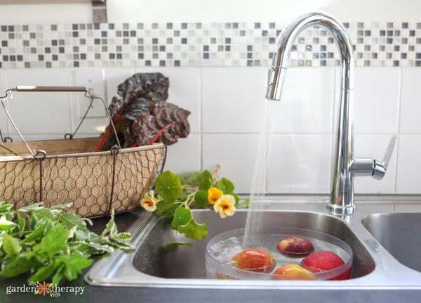 Washing produce in the kitchen sink