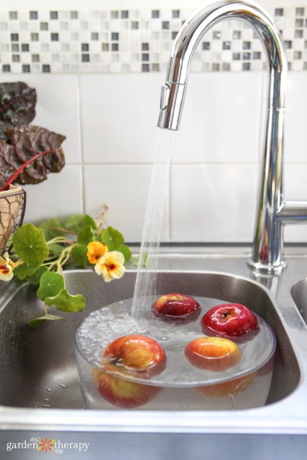 washing apples with tap water