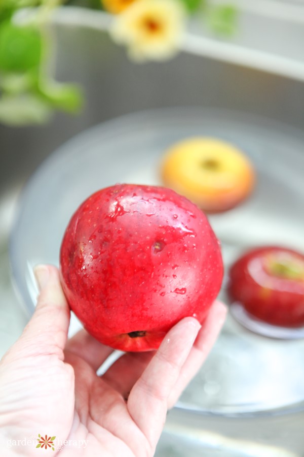 washing an apple with fruit and vegetable wash