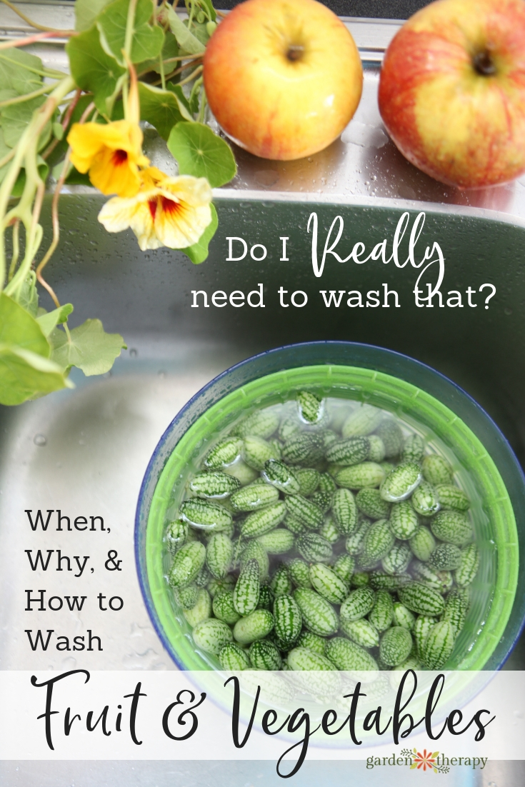 Do I Really Need to Wash That? When, Why, and How to Wash Fruit and Vegetables