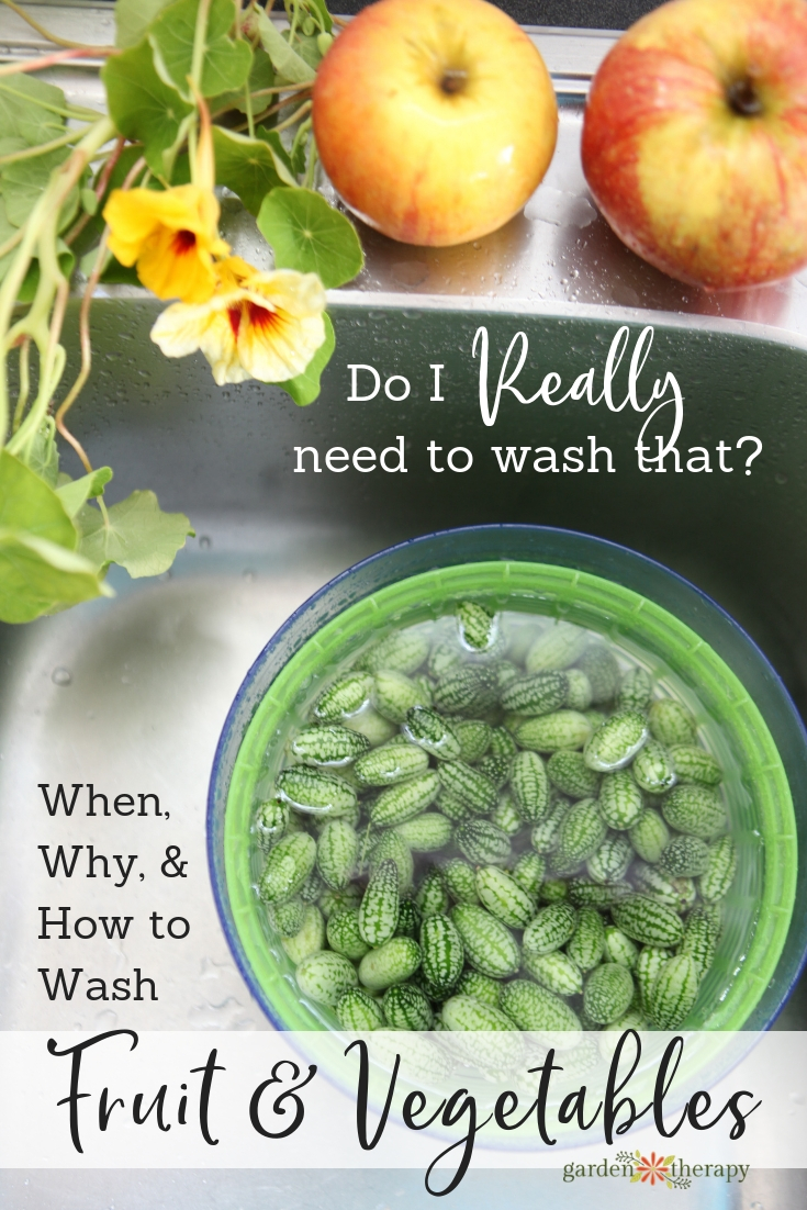 How to Wash Fruits and Vegetables