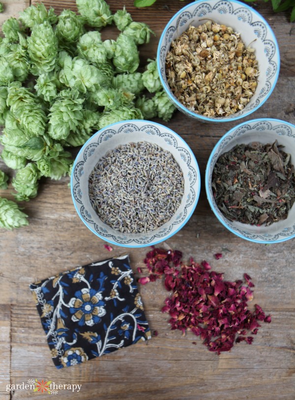 Hops and other dried herbs for making a dream pillow