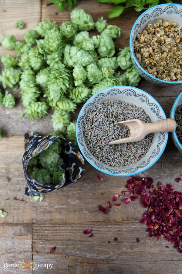 dried hops, lavender, and other herbs for a sleep pillow