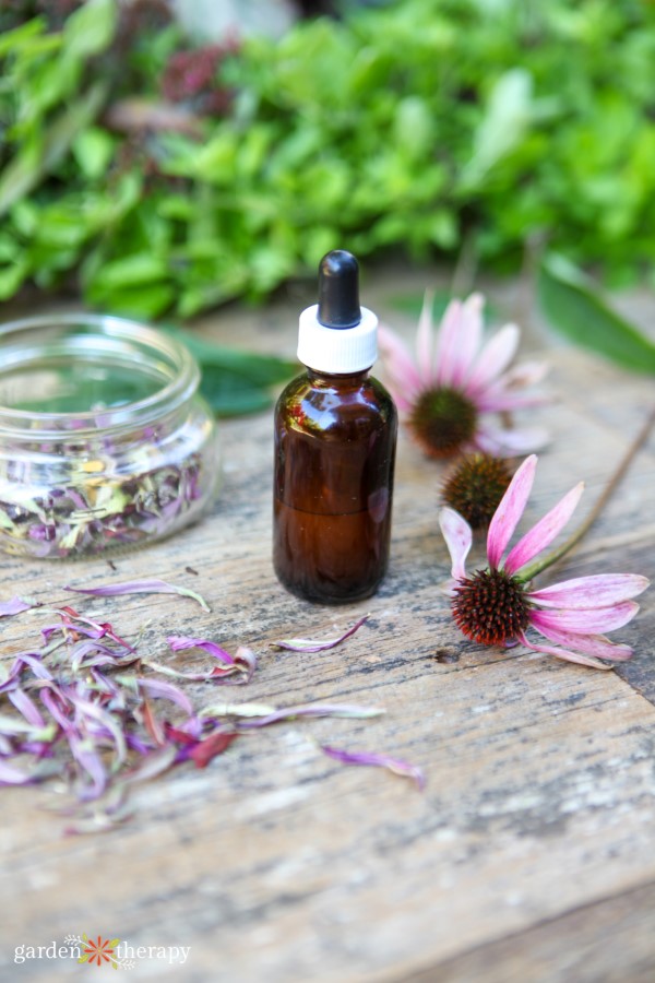 Homemade Flower Essences Harness the Healing Energy of Flowers