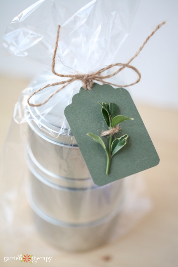 Evergreen Clipping Paper Gift Tag with Twine