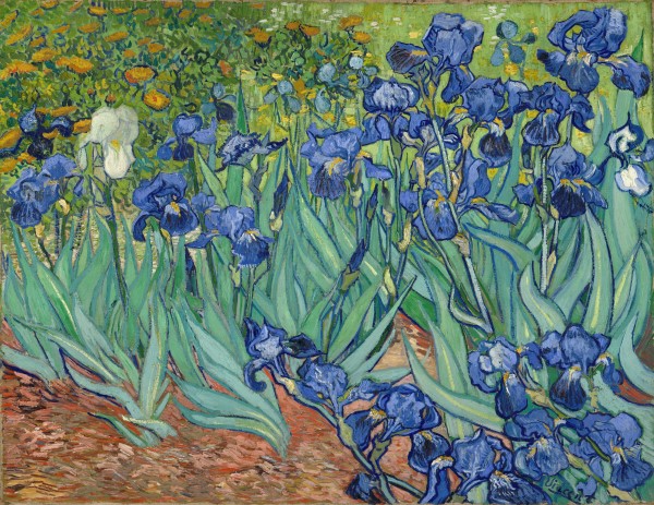 Vincent van Gogh, Irises.