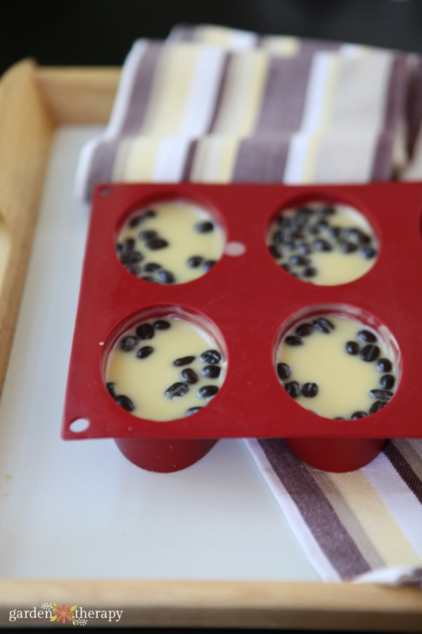 finished coffee bean massage bars still in their mold