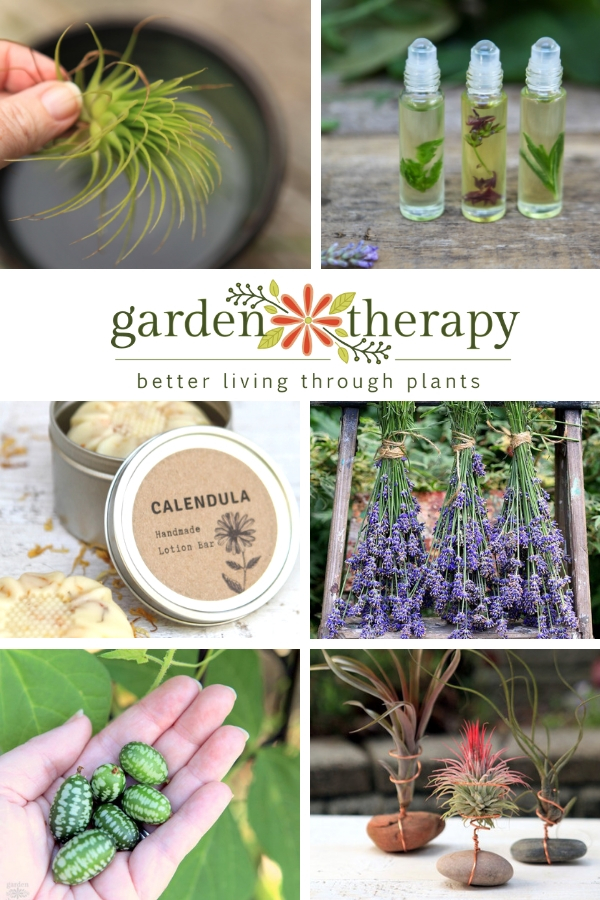 Garden Therapy Best of 2018