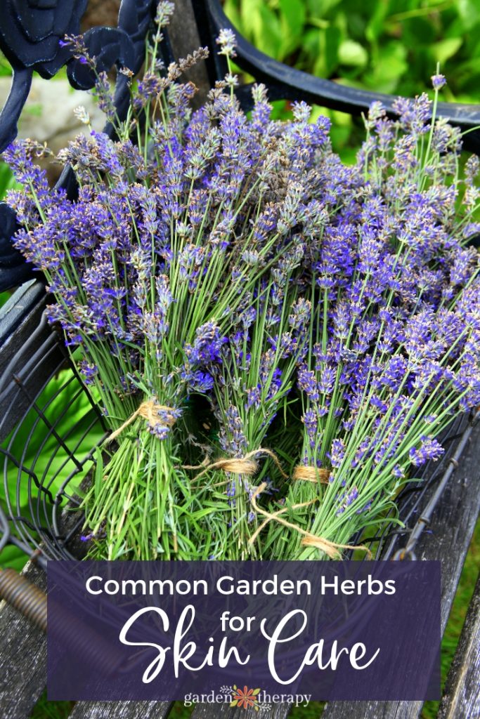 https://gardentherapy.ca/wp-content/uploads/2019/01/Common-Garden-Herbs-for-Skin-Care-683x1024.jpg