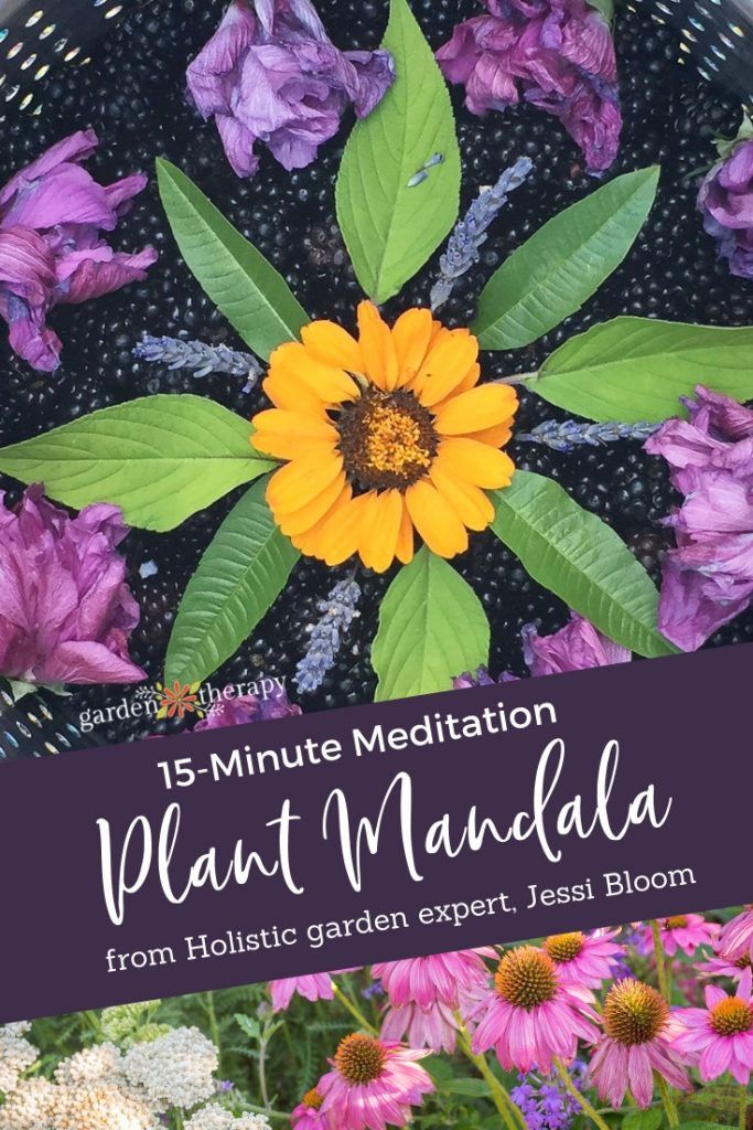 15-Minute Meditation Make a Mandala with Plants