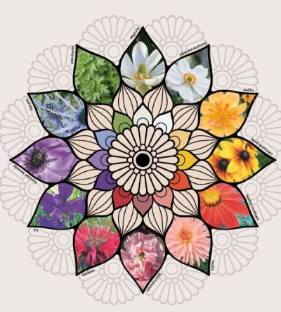 Mandala Meditation Practice with Plants: Creating Sanctuary - Garden ...
