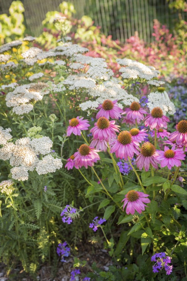 Jessi Bloom Garden