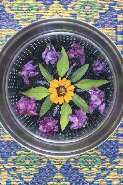 Mandala Meditation with Plants