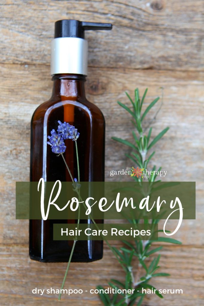 Rosemary Hair Care Recipes: Homemade Dry Shampoo, Natural ...