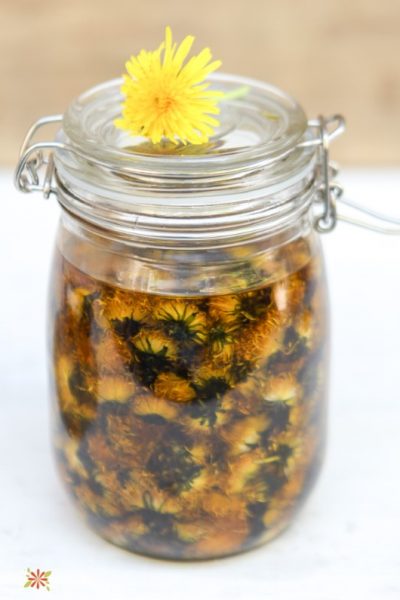 Cold Infused Dandelion Flower Herbal Oil
