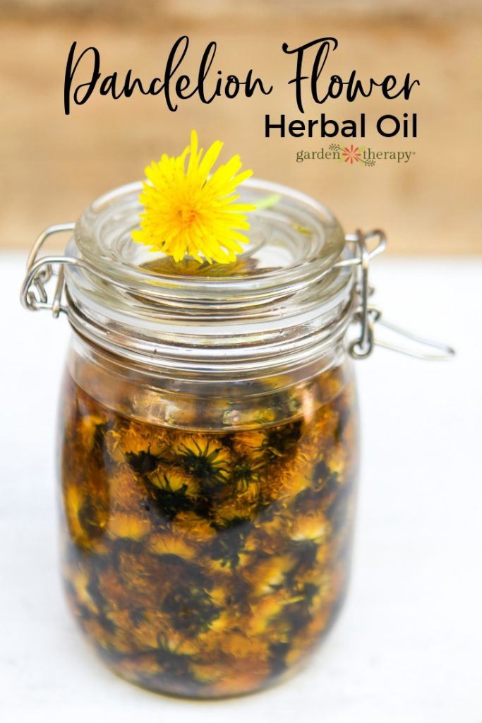 https://gardentherapy.ca/wp-content/uploads/2019/03/Dandelion-Flower-Herbal-Oil-683x1024.jpg