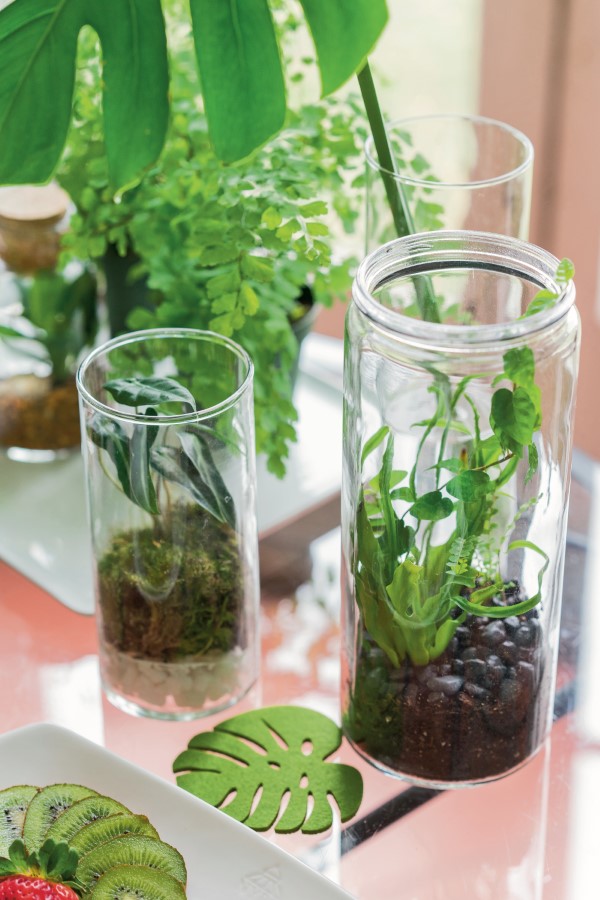 DIY Moss Terrarium for Teams