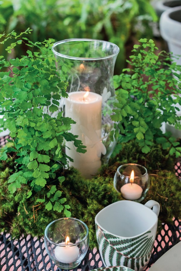 Moss and Fern Table Centerpiece photo by Alcides Aguasvives