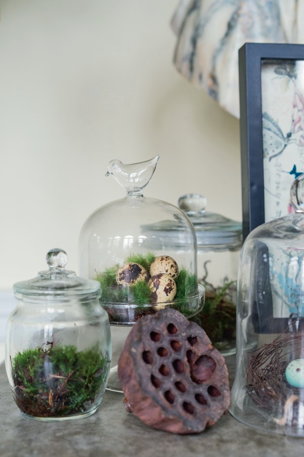 Moss Terrarium For Sale - Moss & Stone Gardens