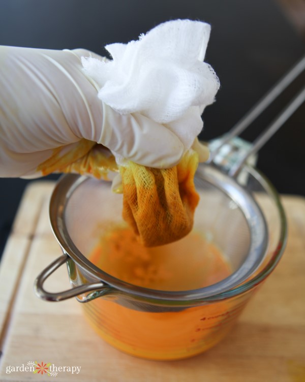 Squeeze out the oil through cheesecloth wearing gloves