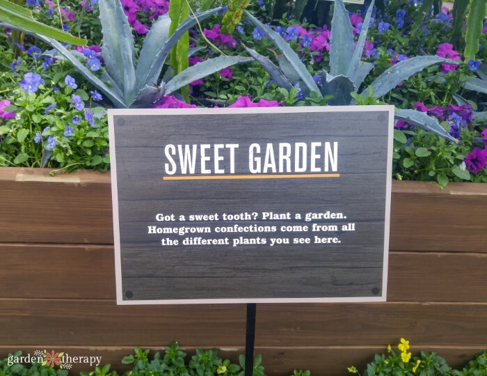 Sweet garden frrom The Epcot Flower and Garden Festival in Disney World
