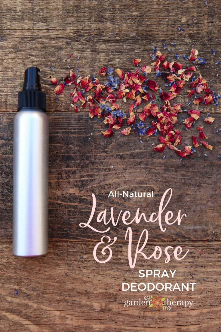 All-Pure Rose and Lavender DIY Deodorant Spray - orchiddilemma.com